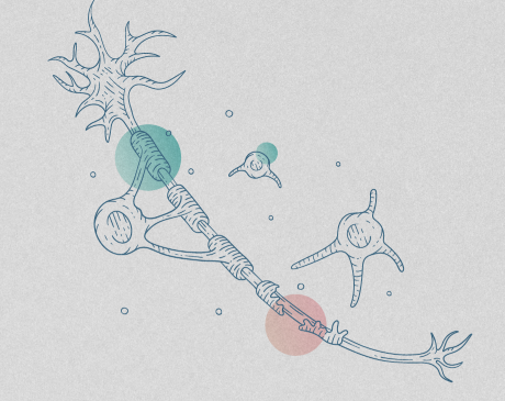 Illustration of neuron against backdrop of colored circles.